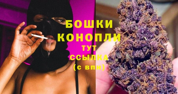 PSILOCYBIN Балахна