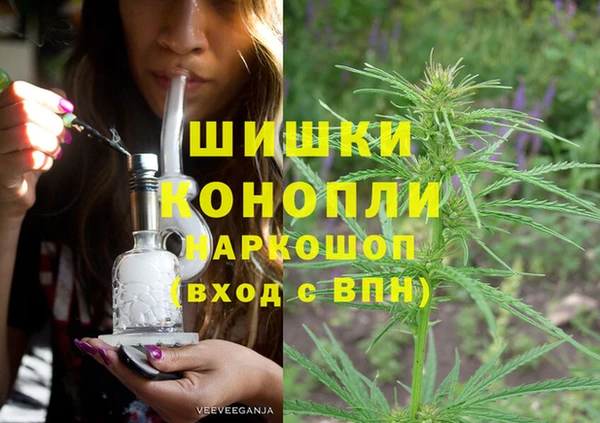 PSILOCYBIN Балахна