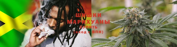 PSILOCYBIN Балахна