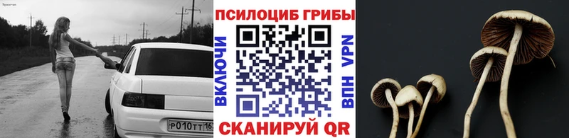 Псилоцибиновые грибы Psilocybine cubensis Ленинск-Кузнецкий